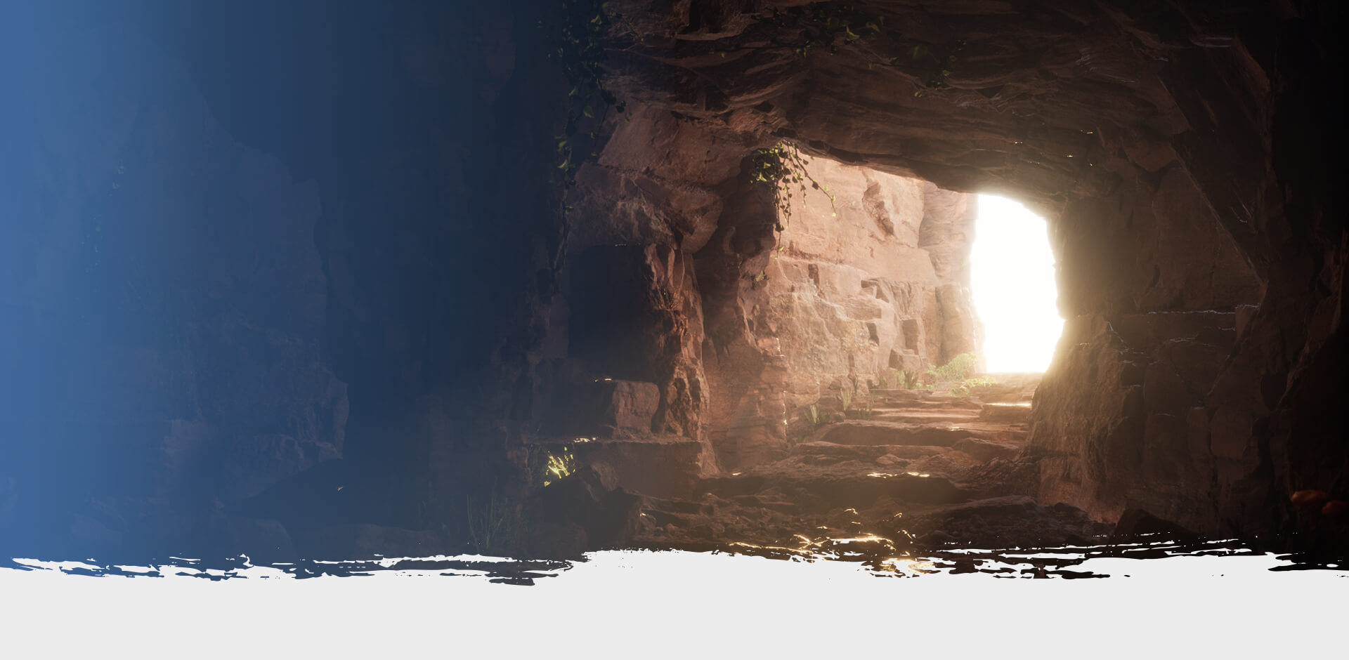 cView Portfolio Work